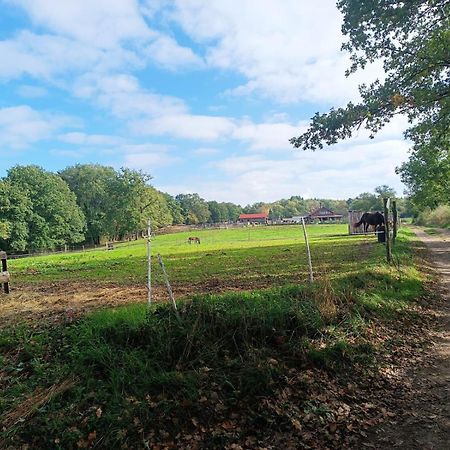 T3 Perigord Vert Cap nature Champniers-et-Reilhac Exterior foto