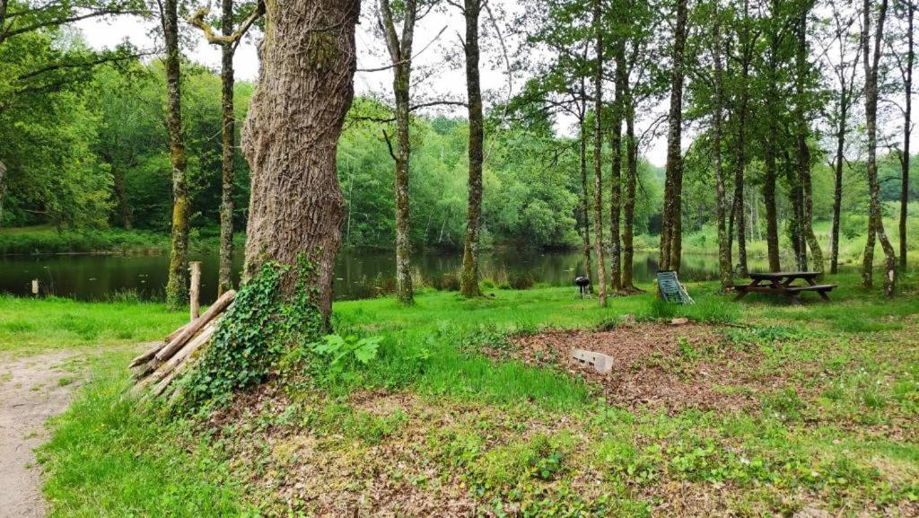 T3 Perigord Vert Cap nature Champniers-et-Reilhac Exterior foto