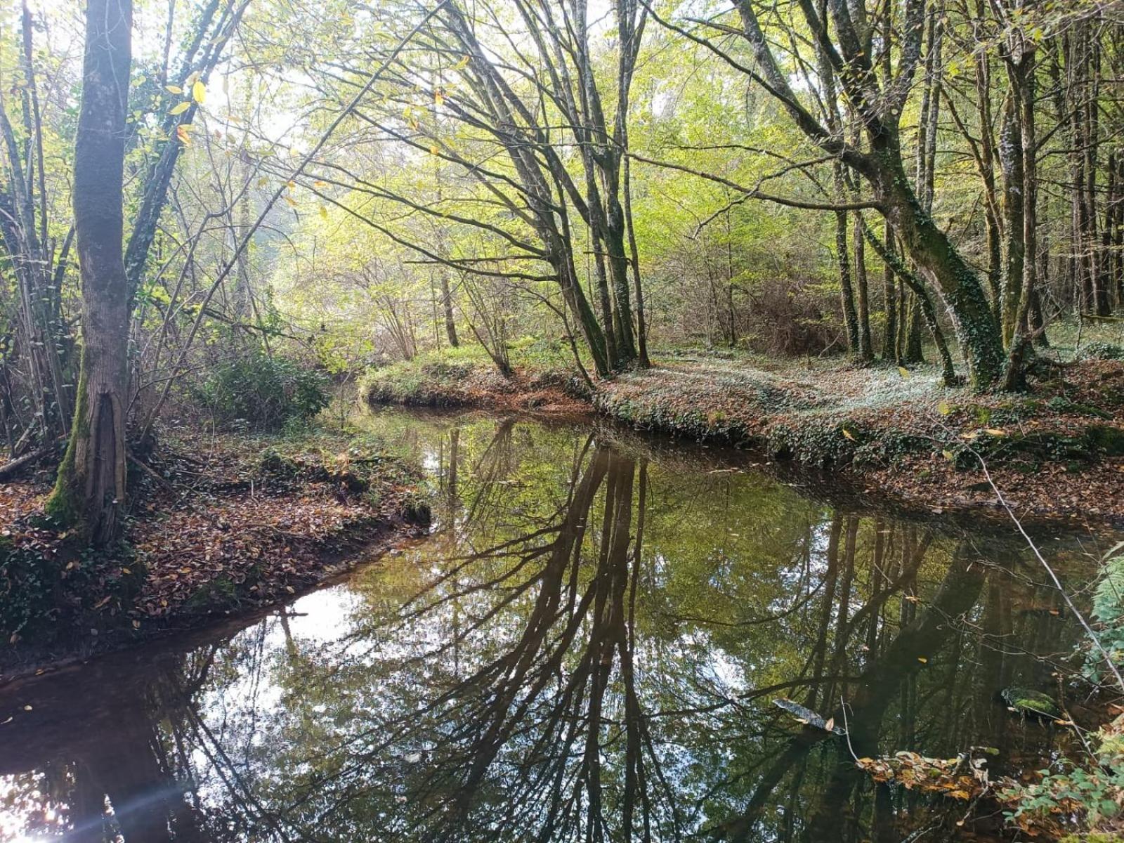 T3 Perigord Vert Cap nature Champniers-et-Reilhac Exterior foto
