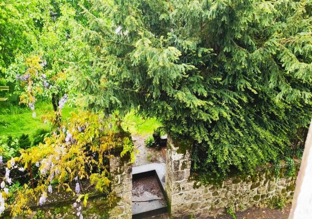 T3 Perigord Vert Cap nature Champniers-et-Reilhac Exterior foto