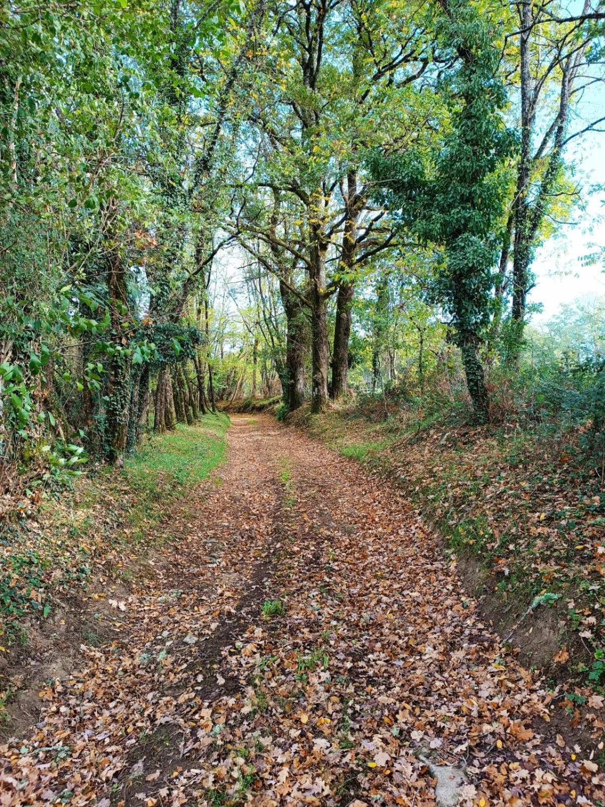 T3 Perigord Vert Cap nature Champniers-et-Reilhac Exterior foto